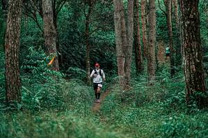 BIB: 
                            <button type="button" onclick="openModal(25237516)" class="btn btn-primary btn-sm float-right btn-popup" data-toggle="modal" data-target=".modal-high-quality">
                        <i class="fas fa-shopping-cart"></i> Add to Cart
                    </button>
                                            <button type="button" onclick="isThisMe(25237516, true)" class="btn btn-success btn-sm float-right btn-popup btn-isme hidden" data-toggle="tooltip" data-placement="bottom" title="นี่คือรูปของคุณใช่ไหม คลิกที่นี่เพื่อเอาเข้าอัลบั้ม">
                        <i class="fas fa-plus"></i> Add to album
                    </button>
                    <button type="button" onclick="isThisMe(25237516, false)" class="btn btn-warning btn-sm float-right btn-popup btn-isnotme hidden">
                        <i class="fas fa-ban"></i> Remove from album
                    </button>